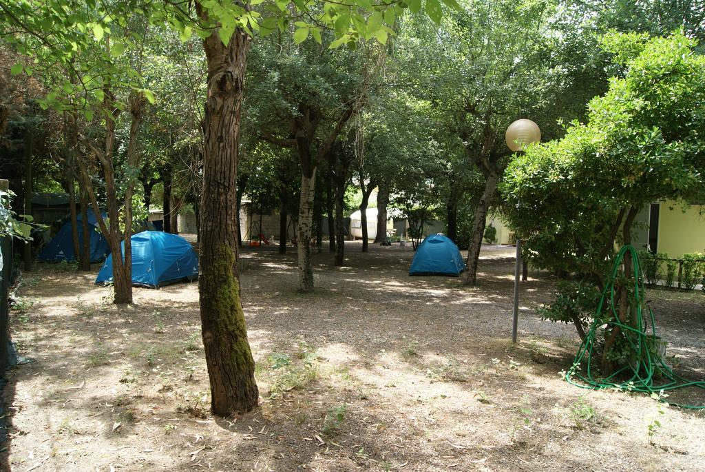 Camping Dolce Sole Marina di Massa Room photo